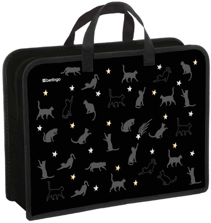 Папка с ручками 1 отделение, на молнии, А4 Berlingo "Meow Galaxy", пластик \ PP-EX-1235