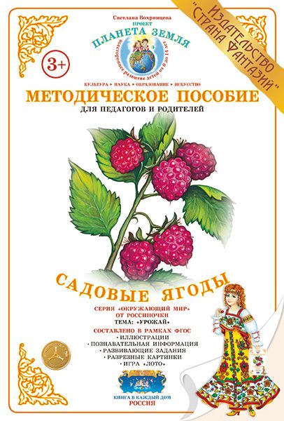 Дид. мат "Садовые ягоды" (А4) \ Страна Фантазий