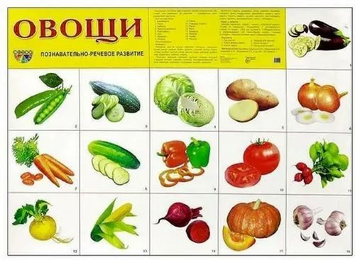 Плакат Овощи, А2 \ Сфера