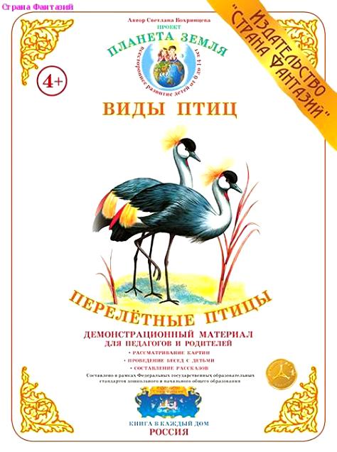 Дем. мат (А3) Перелетные птицы \ Страна Фантазий