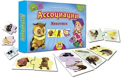 НПИ Ассоциации. Животные 24 карточки \ ИН-7985 Рыжий кот