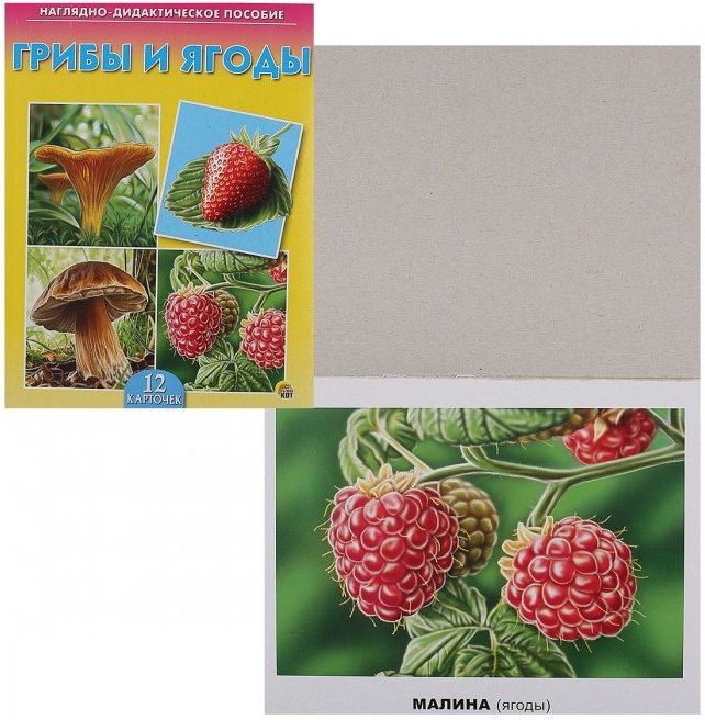 Наглядно-дидакт. пособие Грибы и ягоды (12 карточек, склейка) \ ПД-7215 Рыжий Кот