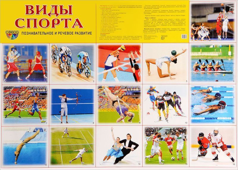 Плакат Виды спорта А2 \ Сфера