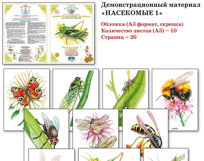 Демонстрационные картинки насекомые