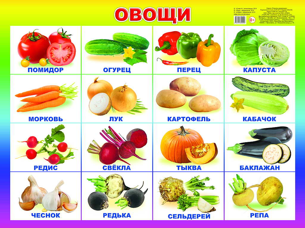 Плакат Овощи (59*44 см) \ Леда