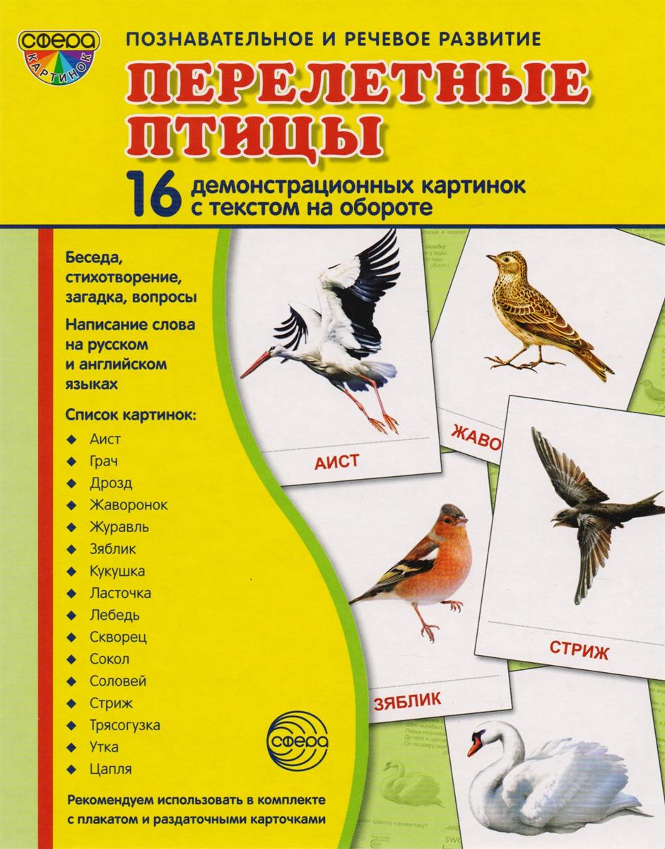 Дем. картинки Перелетные птицы (16 картинок с текстом ,173х220мм) \ 9560 Сфера