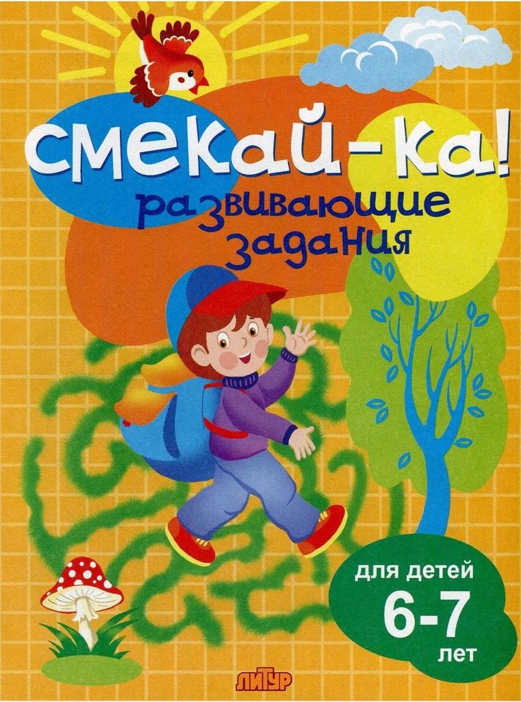 Р\т Смекай-ка. Развивающие задания для детей 6-7 лет \ Литур