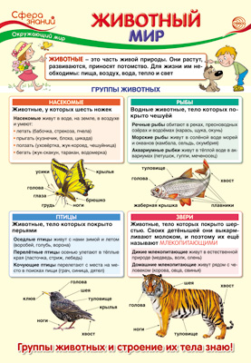 Плакат Животный мир, А-3 (в инд.уп.) \ Сфера ПО-13407