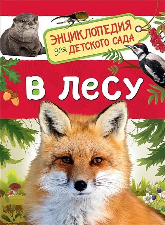 К-н Энциклопедия для детского сада "В лесу" \ 35066 Росмэн