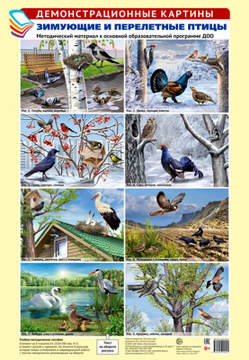 Дем. картины. Зимующие и перелетные птицы. Методич. материал  (комплект 8 плакатов, текст) \ Сфера