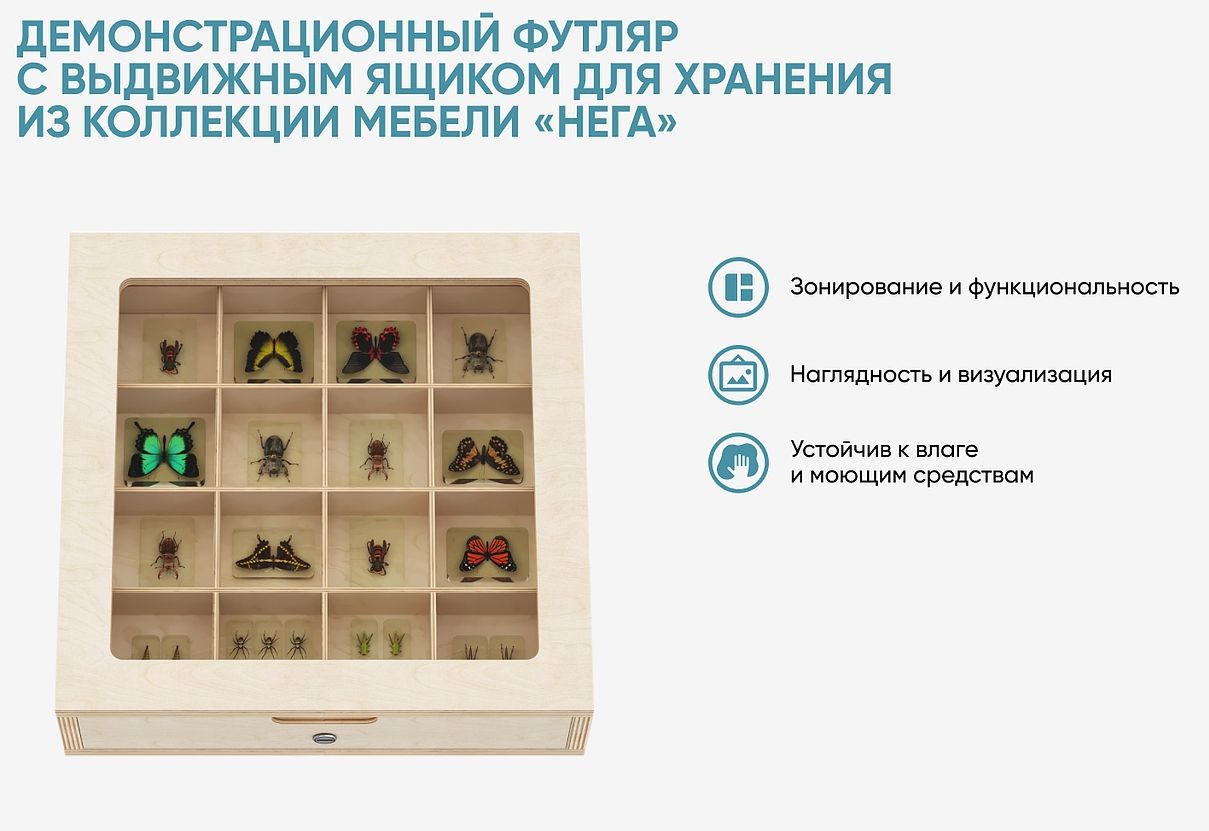 Демонстрационный футляр с выдвижным ящиком для хранения из коллекции мебели «НЕГА» \ А1132 Алма