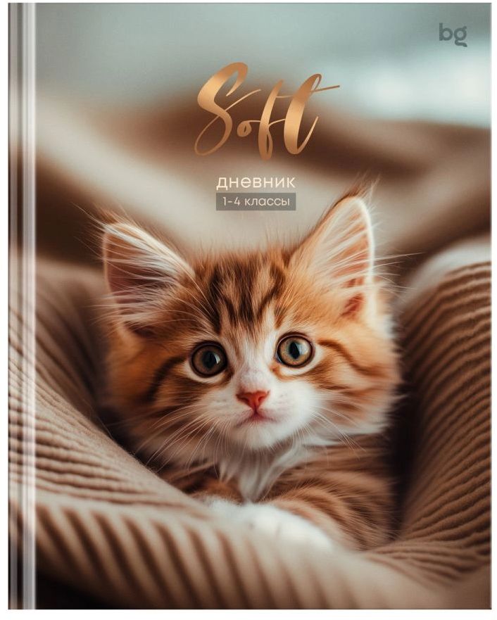 Дневник 1-4 кл. 48л. (твердый) BG "Мягкий", матовая ламинация \ Д5т48_лм 64740 BG
