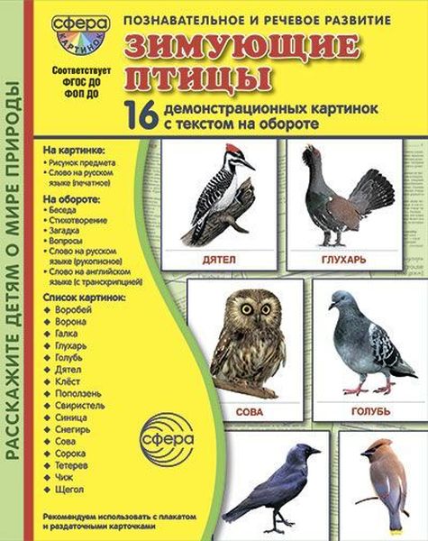 Дем. картинки Зимующие птицы (16 картинок с текстом ,173х220мм) 3-11л. в ПАПКЕ, ФОП, ФГОС ДО \ 22264 Сфера