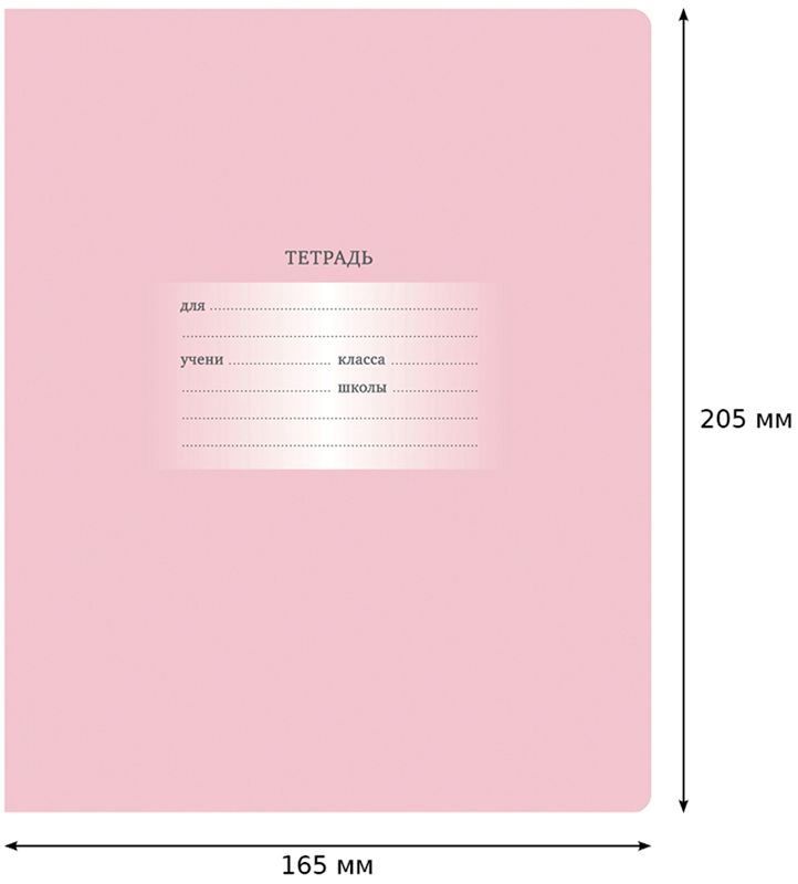 Тетрадь 18л. клетка "Первоклассная", светло-розовая Т5ск18 10580 БиДжи