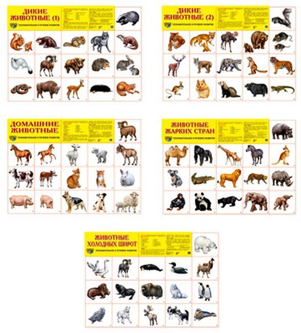Комплект плакатов А2 Животный мир (5 плакатов А2, 80 картинок животных) \ Сфера