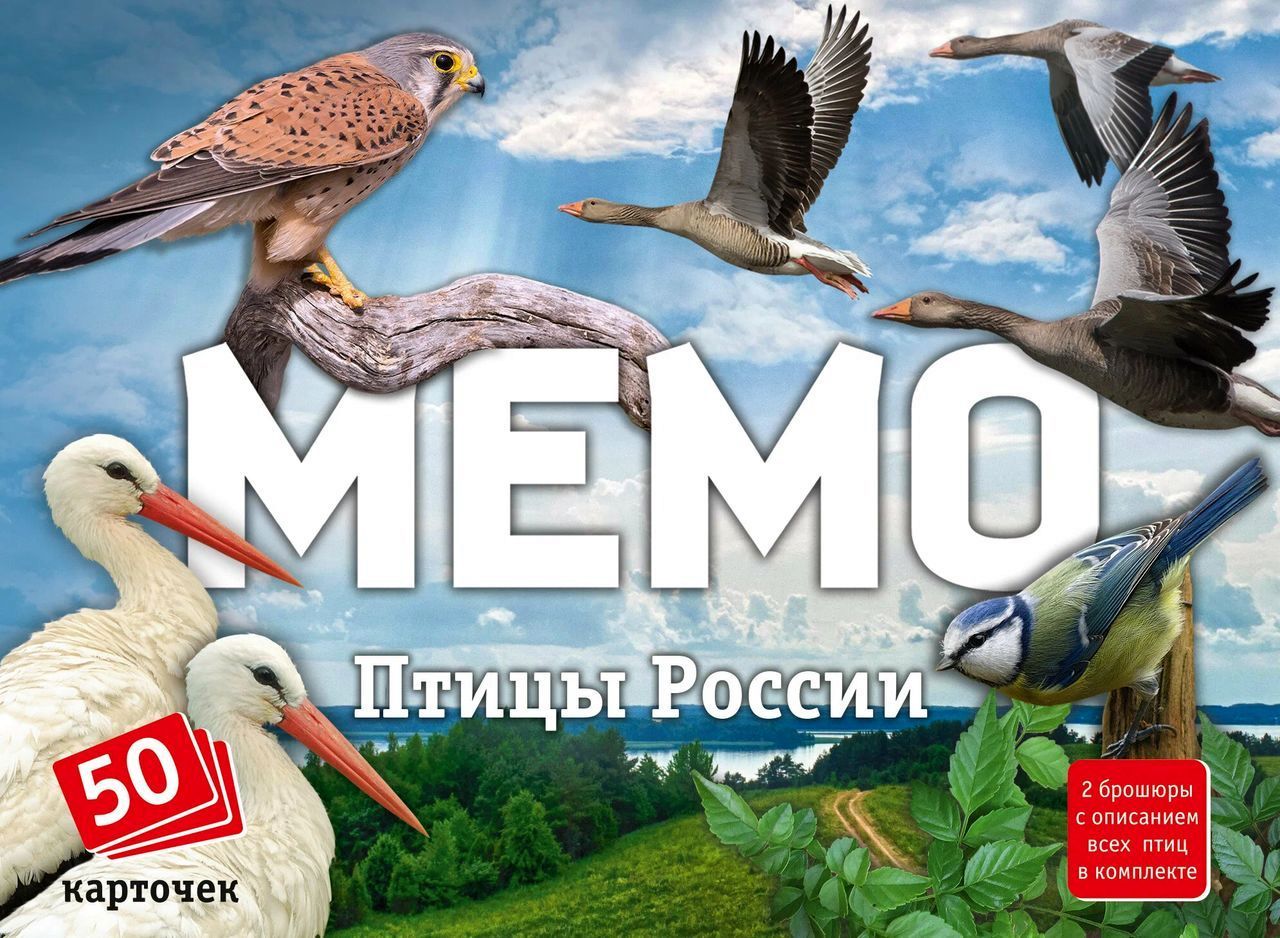 Мемо "Птицы России" 50 карточек \ 8647 Нескучные игры