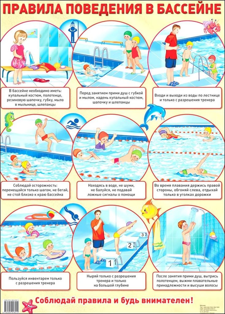 Плакат Правила поведения в бассейне, А-2 \ Сфера