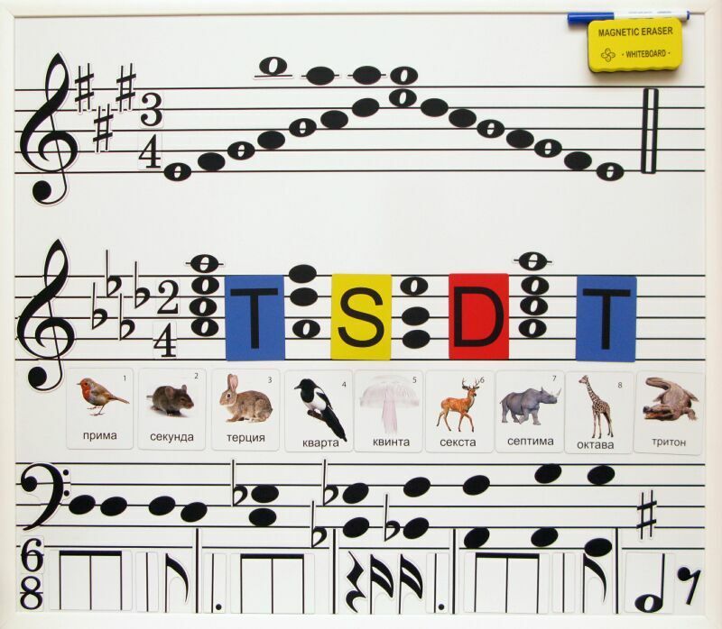 Настенная магнитно-маркерная доска с нотным станом и знаками музыкальной нотации \ 1023