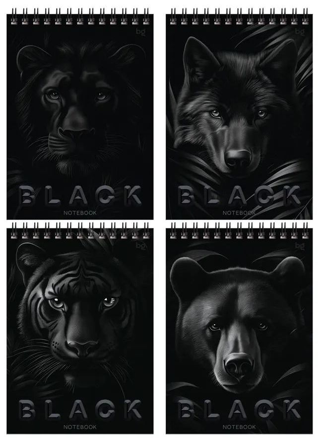 Блокнот А5 40 л. на гребне BG "Just black" \ Б5гр40 07048 BG