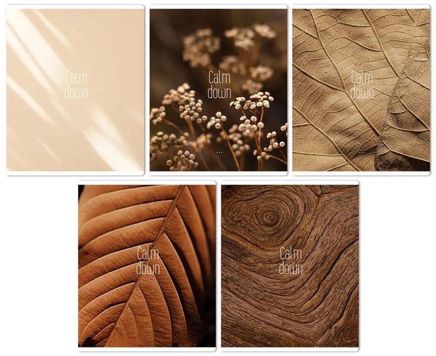 Тетрадь 96 л. А5, клетка "Calm down" суперэконом \ Т5ск96_61423 BG